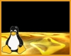 Surf for Linux