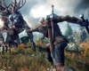 Ten New Full HD screenshots of The Witcher 3: Wild Hunt